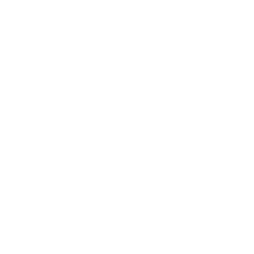 LiBuSpace